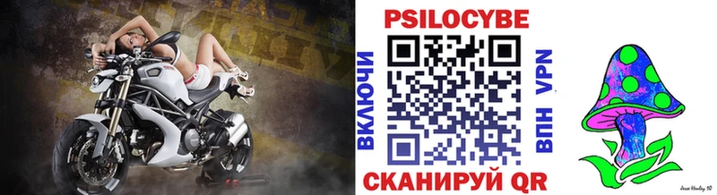 Галлюциногенные грибы мицелий  где продают   Кашин 